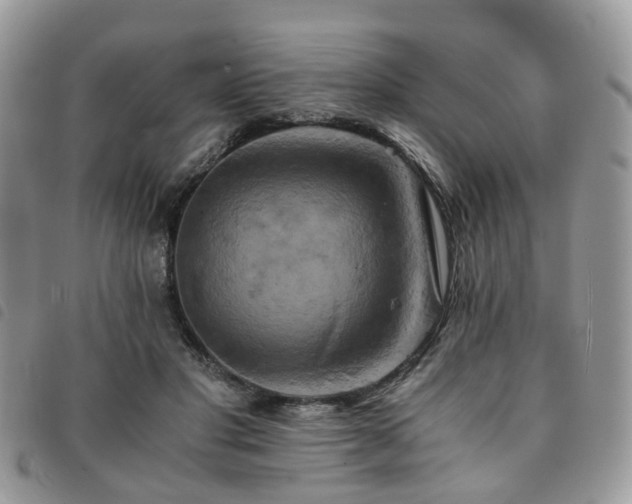 X0000091540501200708171247