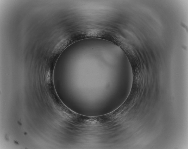 X0000091540502200708171247