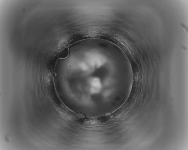 X0000091540503200708171247