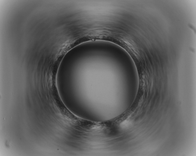 X0000091540504200708171247