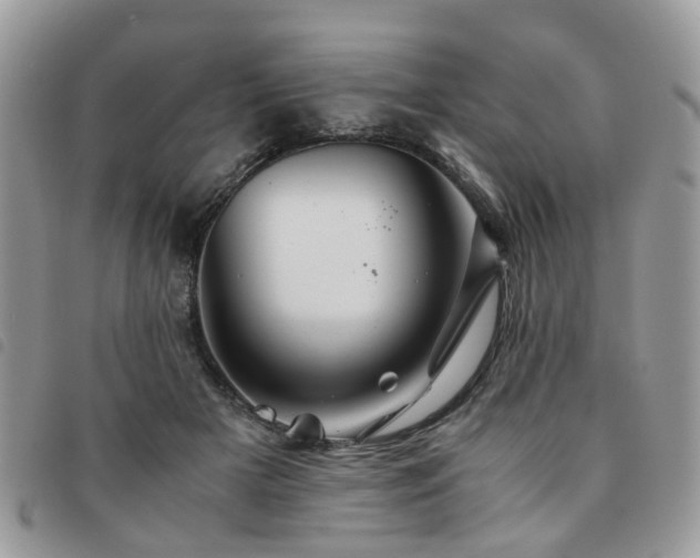 X0000091540505200708171247