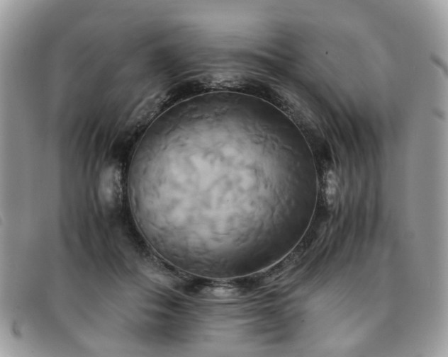 X0000091540506200708171247