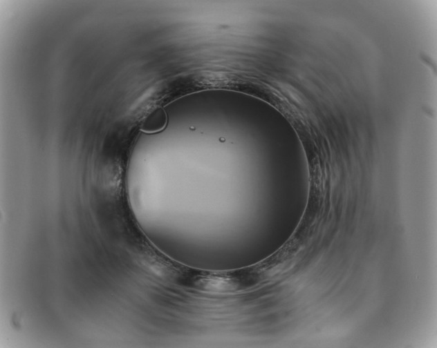 X0000091540507200708171247
