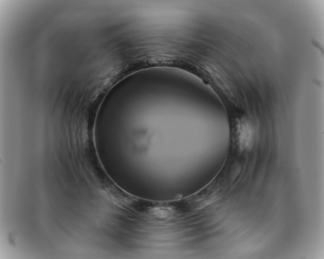 X0000091540508200708171247