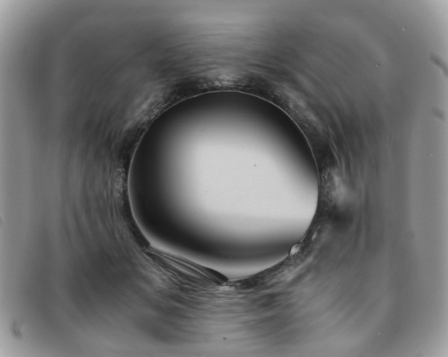 X0000091540509200708171247