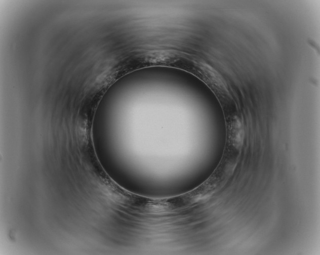 X0000091540510200708171247