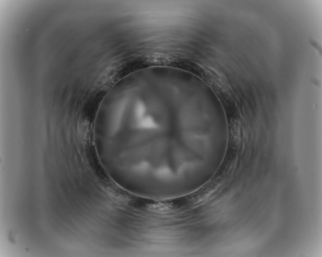 X0000091540511200708171247