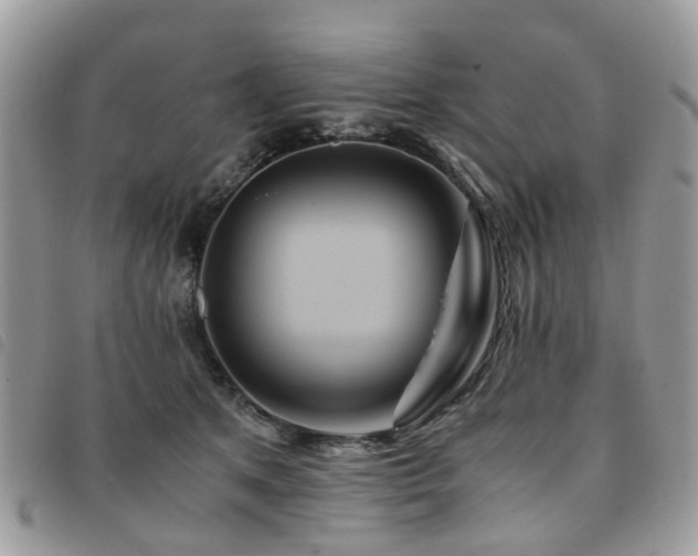 X0000091540513200708171247