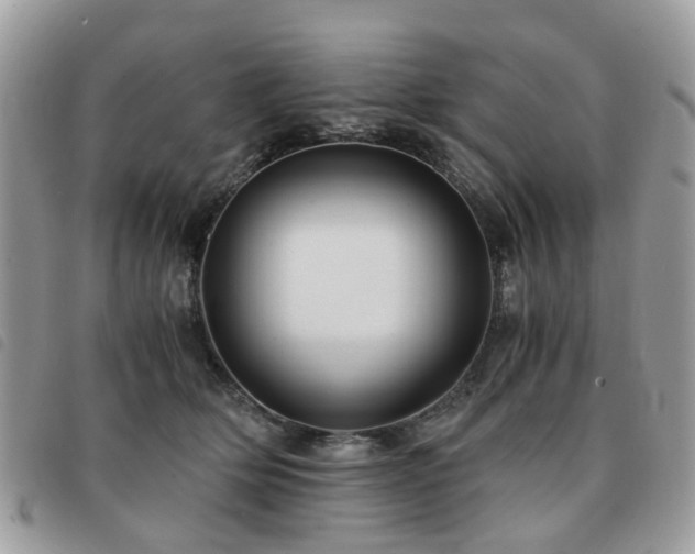 X0000091540514200708171247