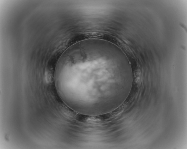 X0000091540515200708171247