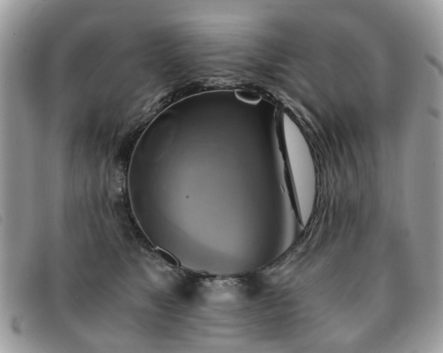 X0000091540517200708171247