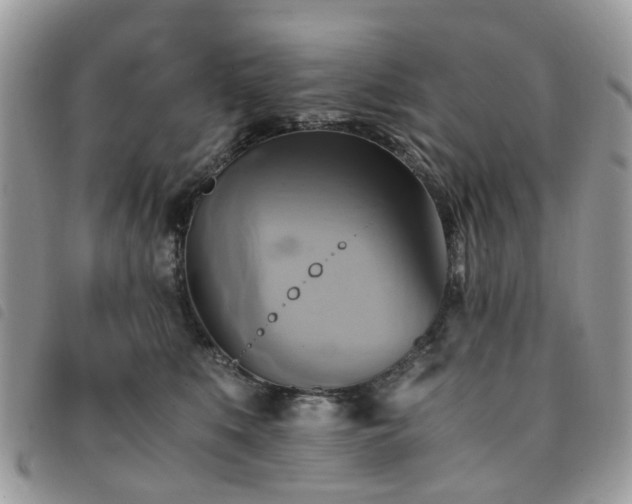 X0000091540519200708171247