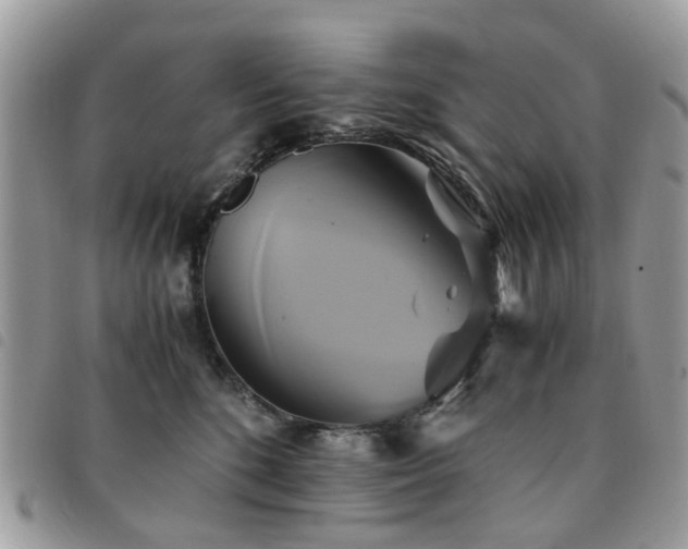 X0000091540520200708171247