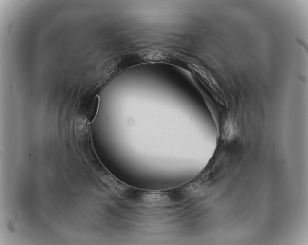 X0000091540521200708171247