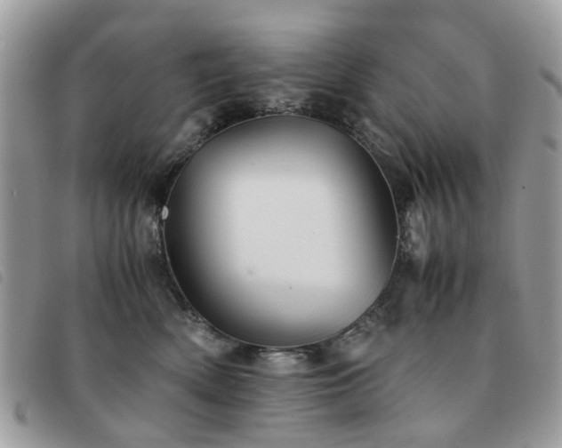 X0000091540522200708171247
