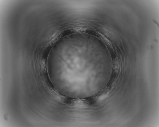 X0000091540523200708171247
