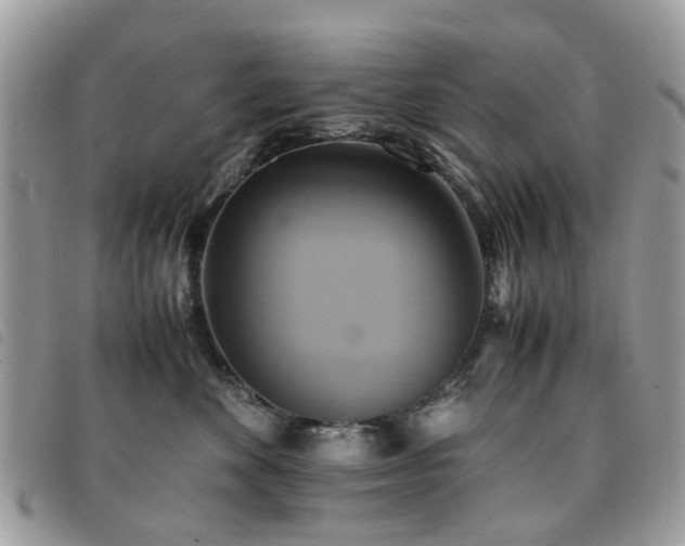 X0000091540524200708171247