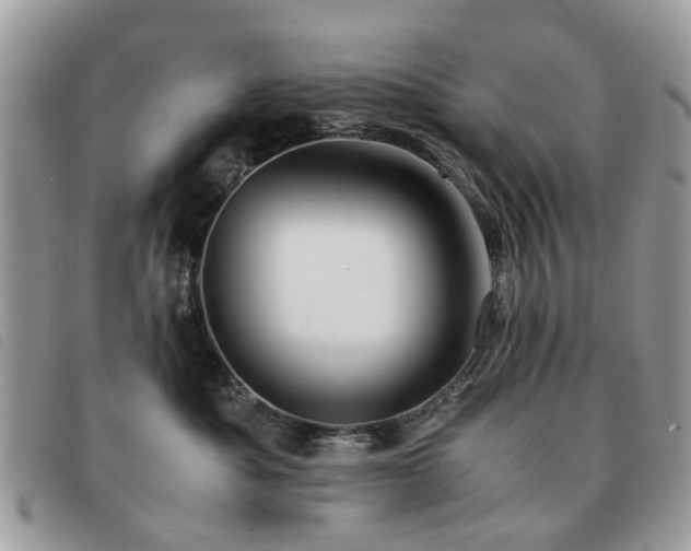 X0000091540525200708171247