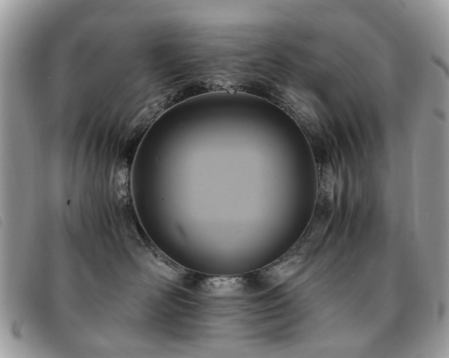 X0000091540526200708171247