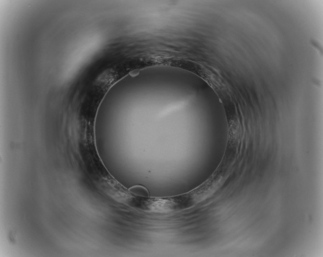 X0000091540527200708171247