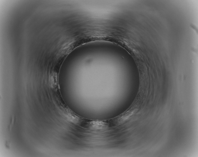X0000091540528200708171247