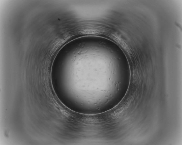 X0000091540529200708171246