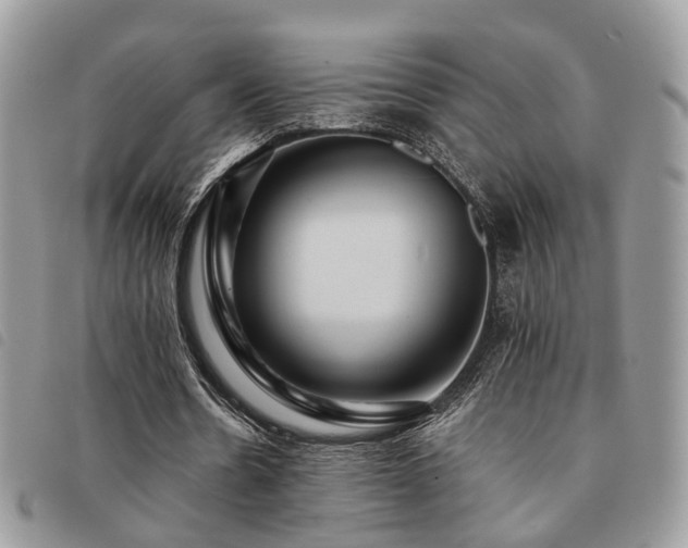 X0000091540530200708171246