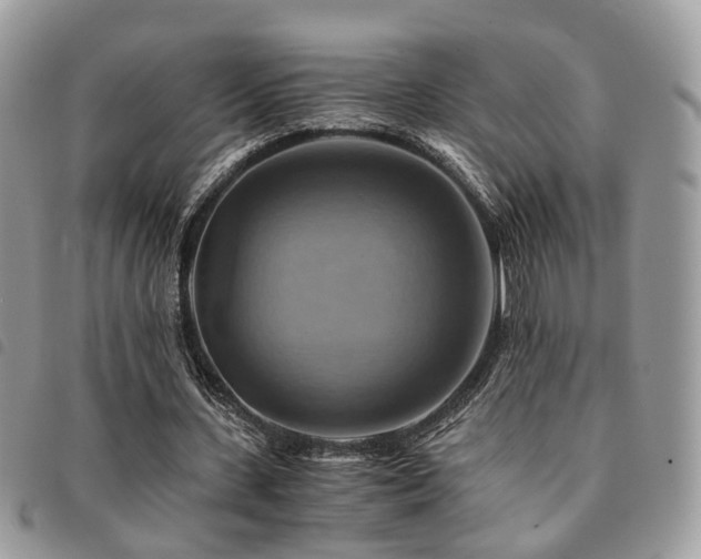 X0000091540531200708171246