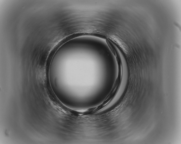 X0000091540532200708171246