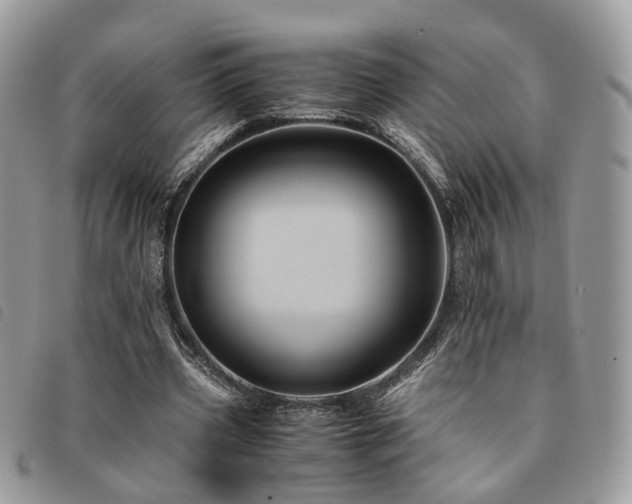 X0000091540533200708171246