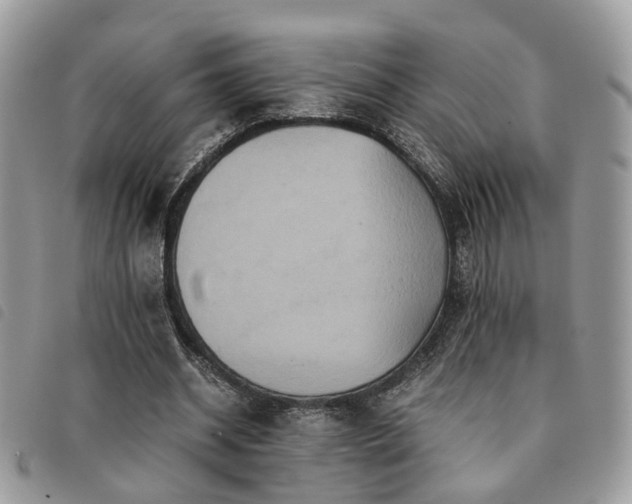 X0000091540534200708171246