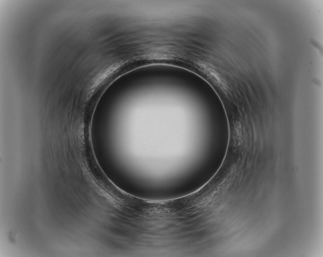 X0000091540535200708171246