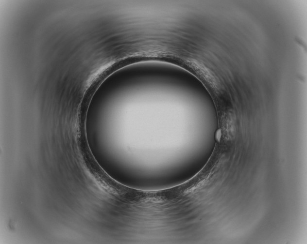 X0000091540536200708171246