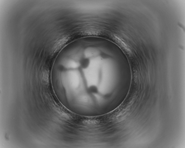 X0000091540537200708171246