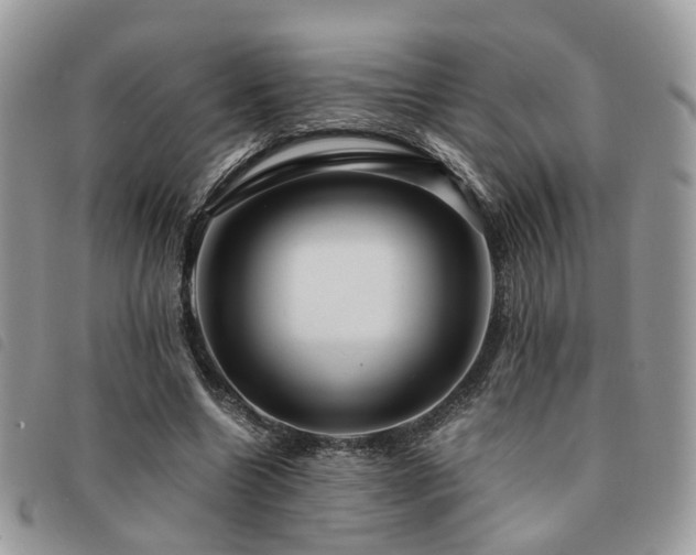 X0000091540538200708171246