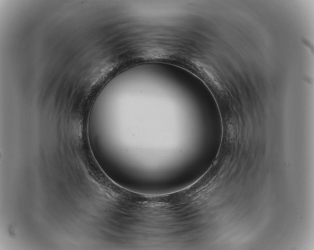 X0000091540539200708171246
