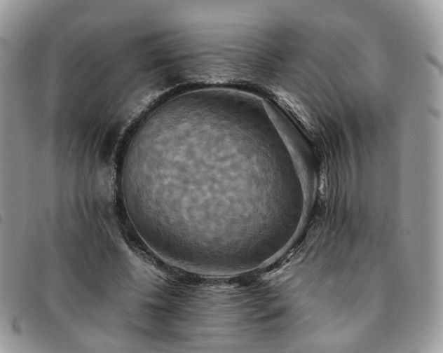 X0000091540540200708171246