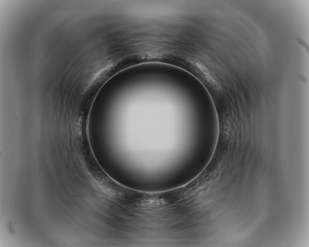 X0000091540543200708171246