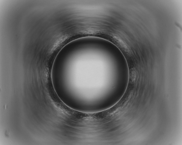 X0000091540544200708171246