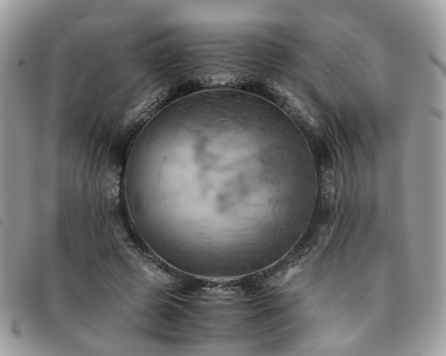 X0000091540545200708171246