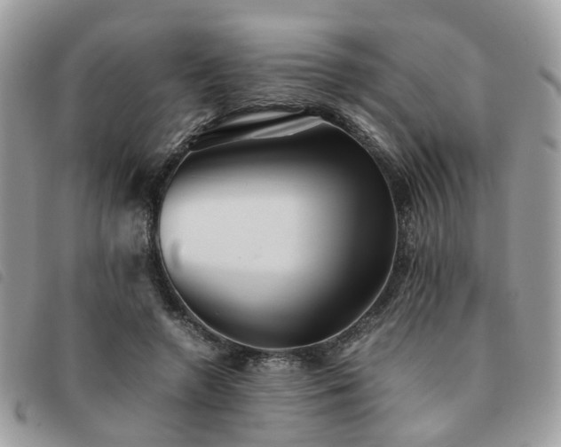 X0000091540546200708171246