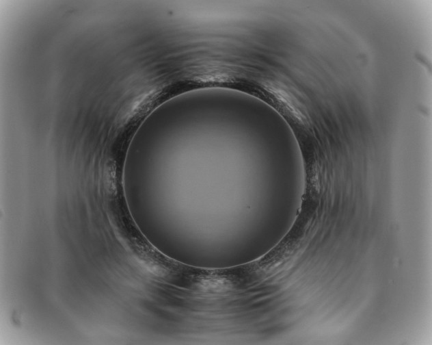 X0000091540547200708171246