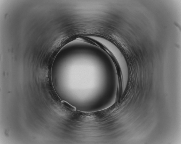 X0000091540548200708171246