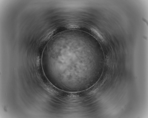 X0000091540549200708171246
