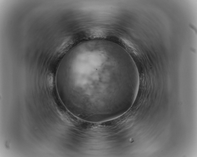 X0000091540550200708171246