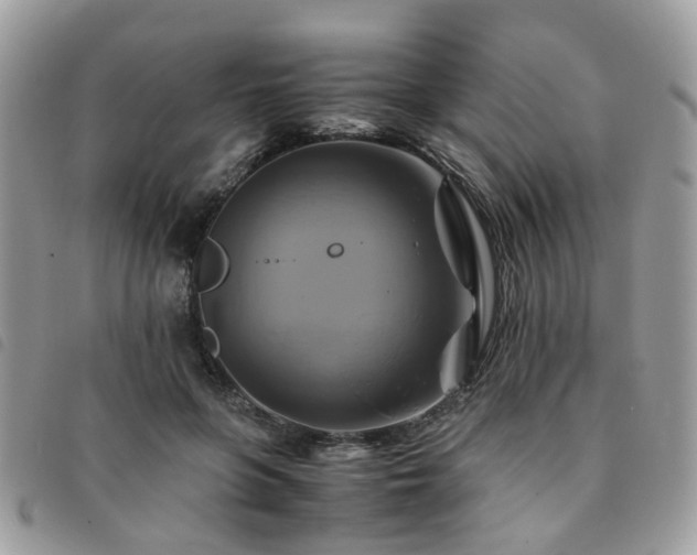 X0000091540551200708171246