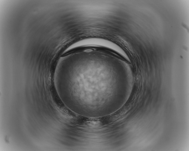 X0000091540552200708171246