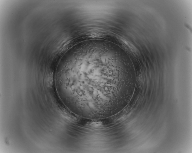 X0000091540554200708171246