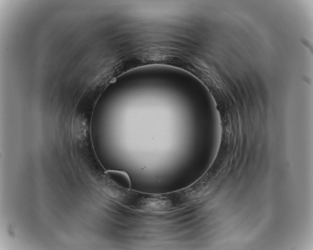 X0000091540555200708171246