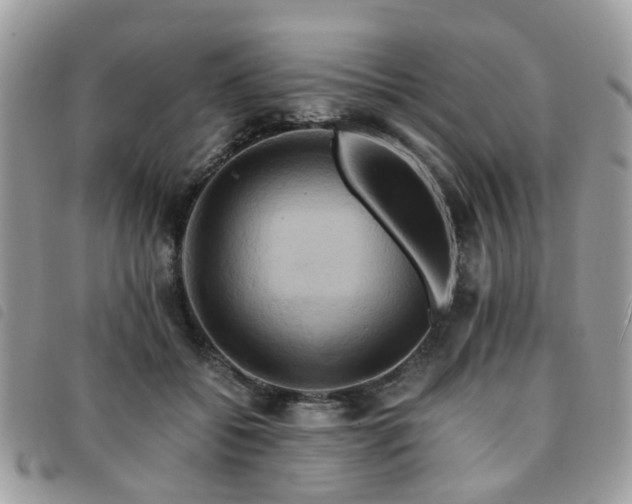 X0000091540556200708171246